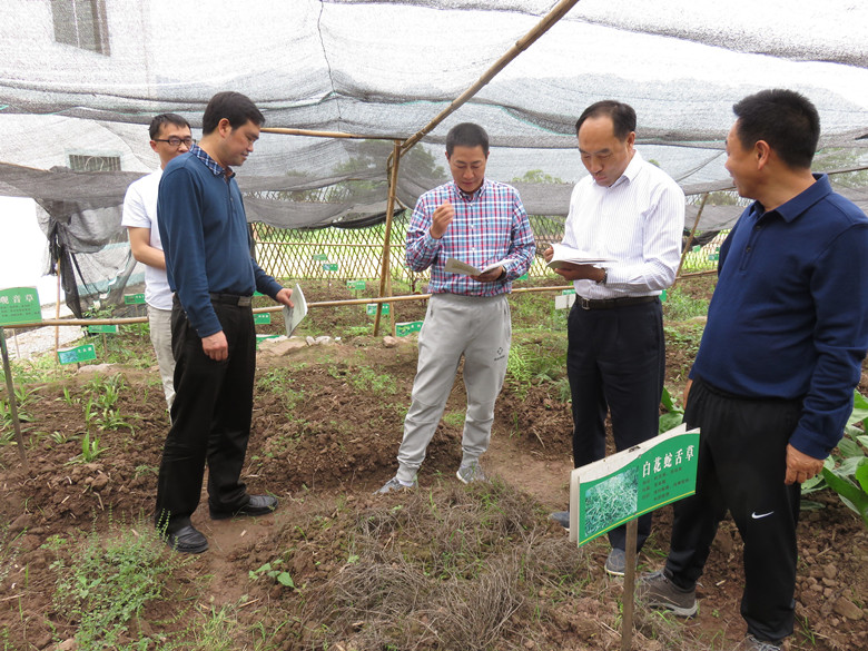 22_副本.jpg 22_副本.jpg