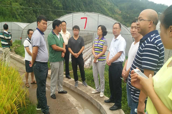 QQ图片20170828113144_副本.jpg QQ图片20170828113144_副本.jpg