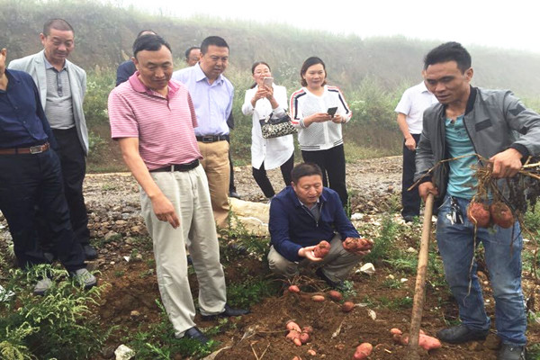 QQ图片20170908103032_副本.jpg QQ图片20170908103032_副本.jpg