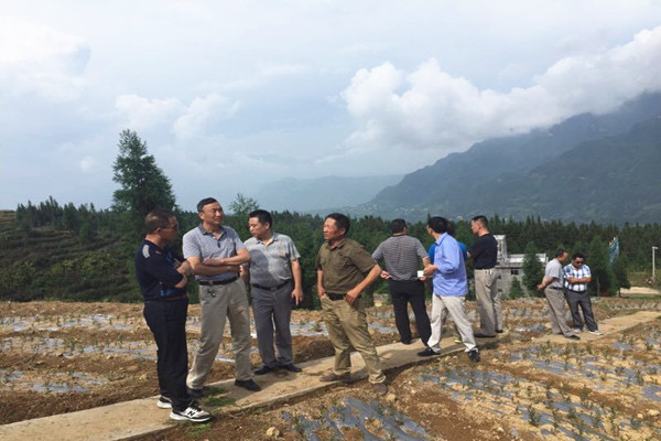 QQ图片20170908103124_副本.jpg QQ图片20170908103124_副本.jpg