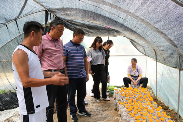 IMG_5060_副本.jpg IMG_5060_副本.jpg