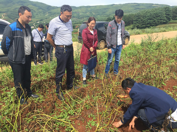 IMG_0012_副本.jpg IMG_0012_副本.jpg