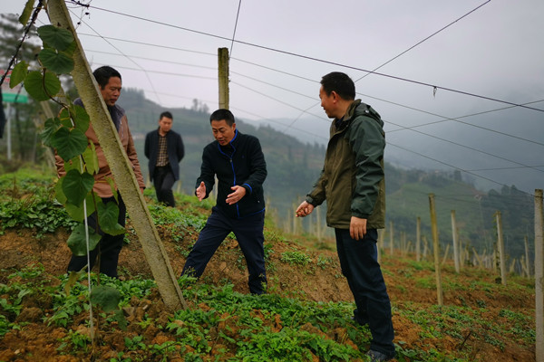 QQ图片20181129144601_副本.jpg QQ图片20181129144601_副本.jpg