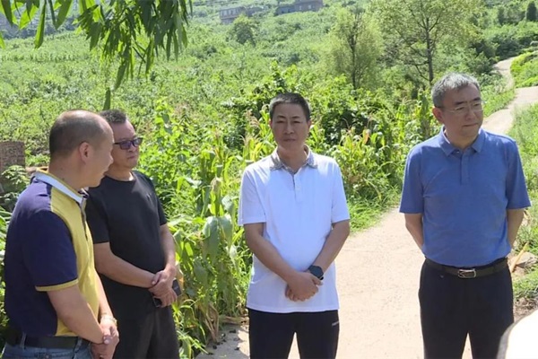 01_副本.jpg 01_副本.jpg