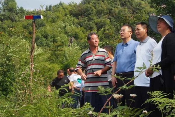 02_副本.jpg 02_副本.jpg