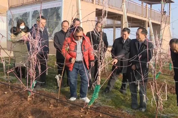 微信图片_20210118111036_副本.jpg 微信图片_20210118111036_副本.jpg