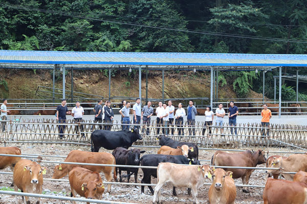 微信图片_20210623154453_副本.jpg 微信图片_20210623154453_副本.jpg