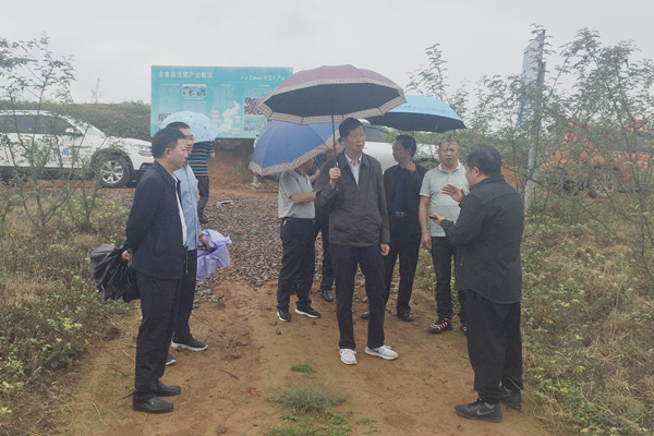 微信图片_20210702161925_副本.jpg 微信图片_20210702161925_副本.jpg