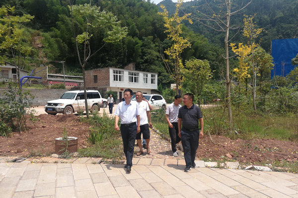 IMG_20210810_132417_副本.jpg IMG_20210810_132417_副本.jpg