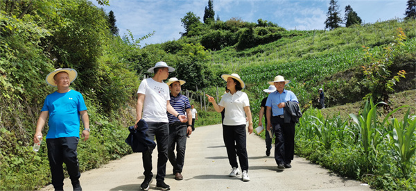 微信图片_20220621190617.jpg 微信图片_20220621190617.jpg