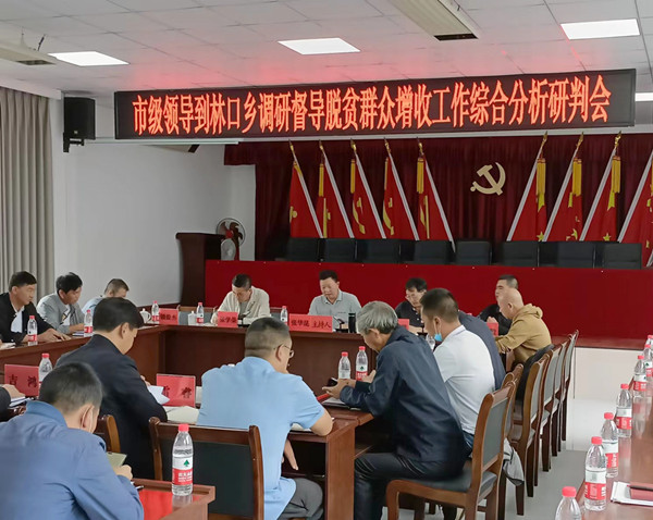 5张华昆主任在林口乡政府会议室召开综合分析研判会1.jpg 5张华昆主任在林口乡政府会议室召开综合分析研判会1.jpg