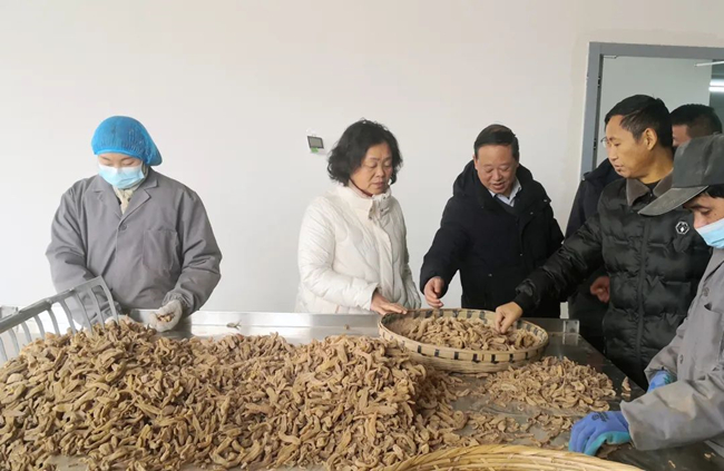 一系列1_副本.jpg 一系列1_副本.jpg