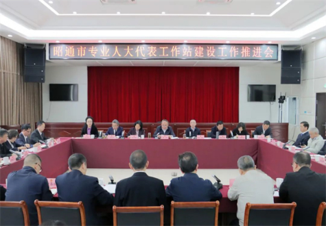 昭通市专业人大代表工作站建设工作推进会召开