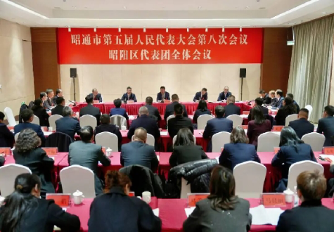 苏永忠参加昭阳区代表团审议