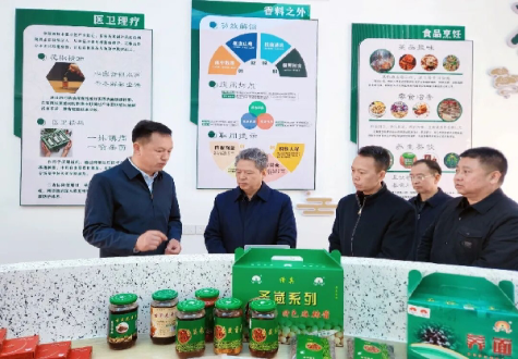 省人大常委会调研组到鲁甸调研乡村振兴等工作