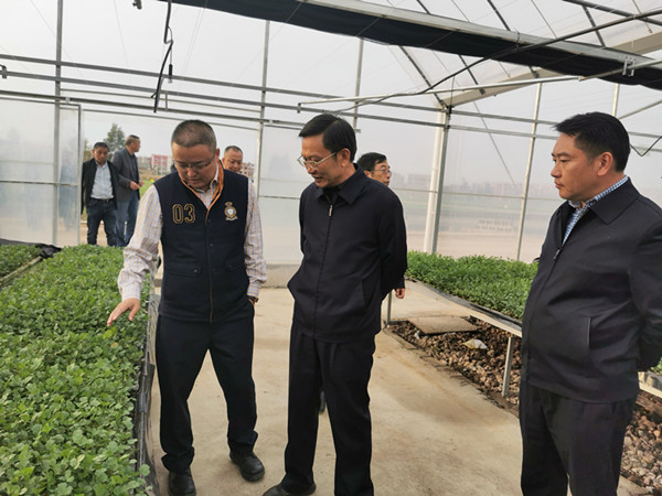 查看蔬菜长势_副本.jpg