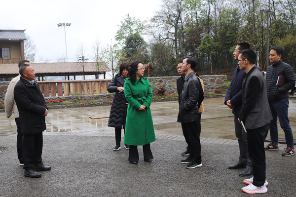 马康凤到绥江调研社会建设和民宗外侨工作监督情况