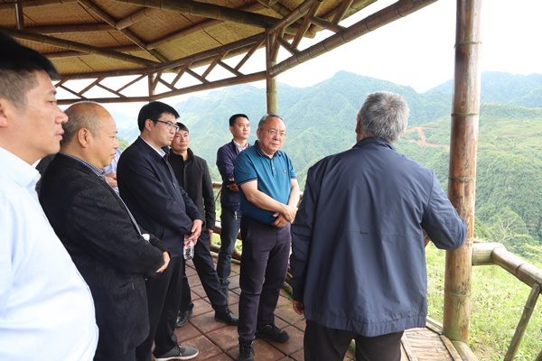 碗厂镇官房村竹产业基地,碗厂镇易地扶贫搬迁安置点竹笋加工厂,坪上镇