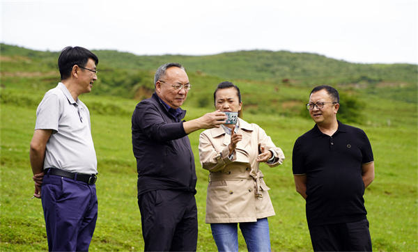 2下沉一线调查研究——王斌到彝良县调研重点农业产业及乡村振兴等工作.jpg