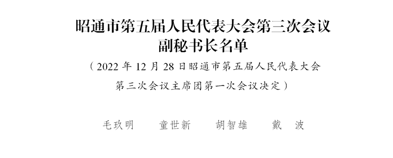 6.副秘书长名单_01.png