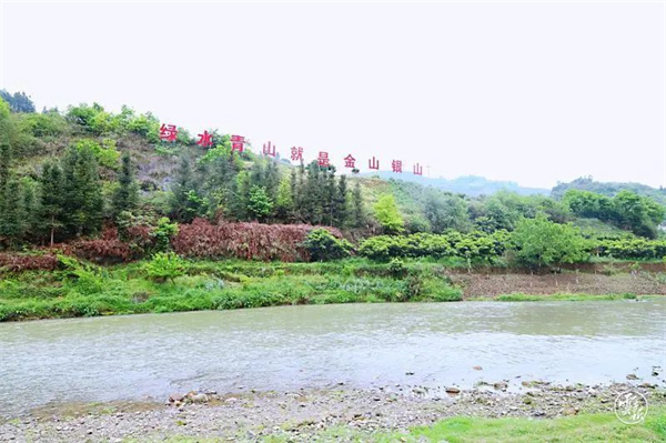 csh3.jpg