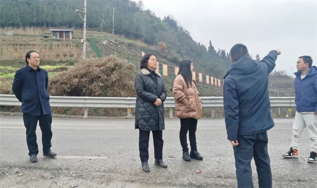 一系列1.jpg