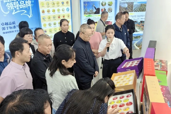20260903红河人大1.jpg